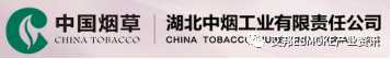 国内加热不燃烧20强企业 烟神丨博迪丨绿新丰丨合元丨四川中烟等纷纷上榜