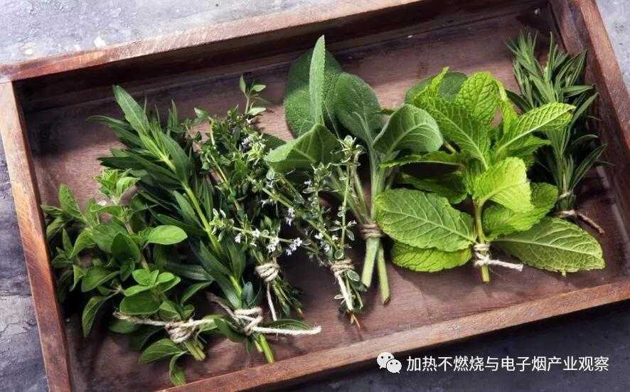 “非烟似烟，非烟赛烟”加热不燃烧HNB赛道的新突破
