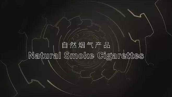 加热不燃烧系列：中烟系之河南中烟