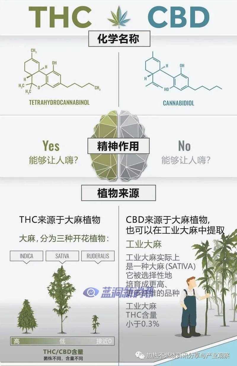HNB浪潮下的新机遇？日本市场推出新型加热不燃烧茶叶棒“CBD HEAL”