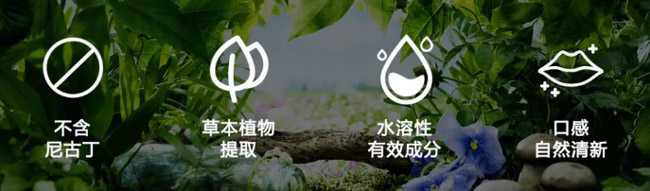 TUWUU图雾发布2款草本雾化新味，解锁健康新体验！