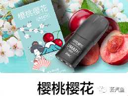 RXR时雾电子烟呆呆系列评测