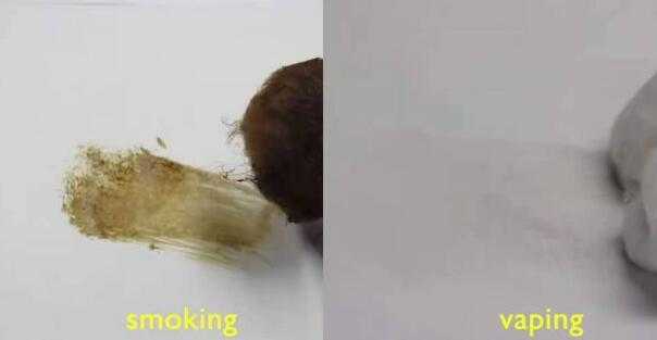 抽电子烟和香烟的肺部对比