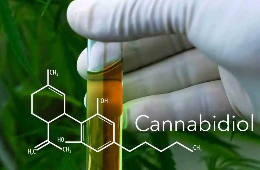cbd油在国内合法吗？cbd油在中国是否合法？