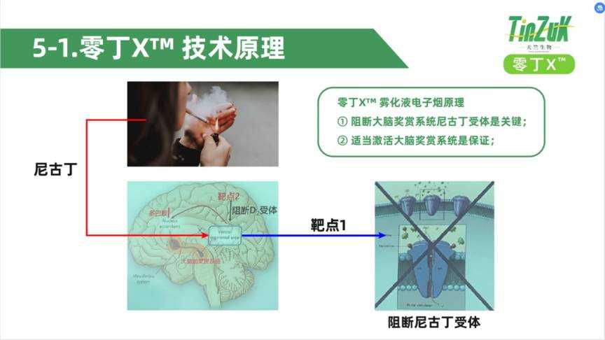 对话天竺生物:零丁X™会是合格的尼古丁替代品吗 对话天竺生物:零丁X™会是合格的尼古丁替代品吗