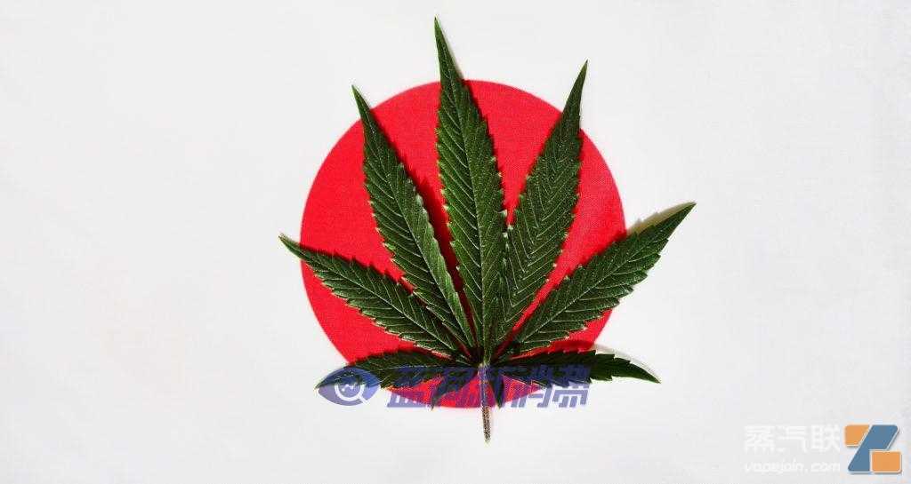 日本准备允许医用大麻治疗疑难杂症患者