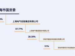 营收半年暴涨15倍，赢合“印钞机”斯科尔的业绩神话能否持续？