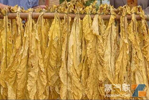 津巴布韦烟农代表敦促烟叶承包商提供木材燃料