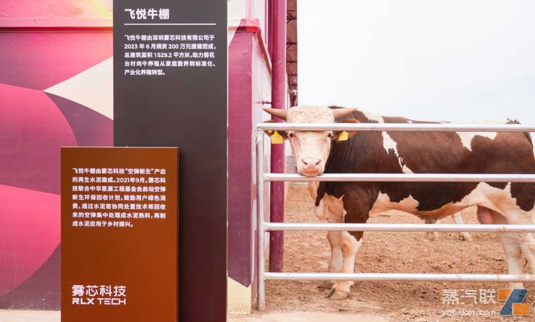 电子烟空弹都去哪儿了？悦刻援建牛棚、黄花菜晾晒场，打开乡村振兴“致富门”