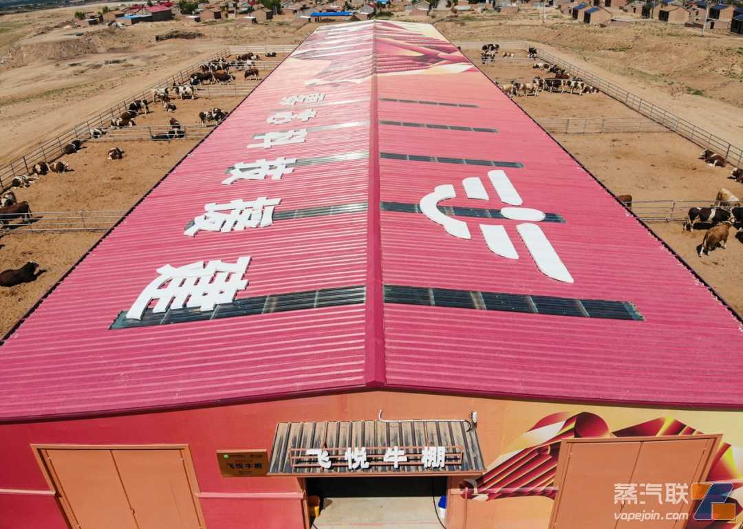 电子烟空弹都去哪儿了？悦刻援建牛棚、黄花菜晾晒场，打开乡村振兴“致富门”