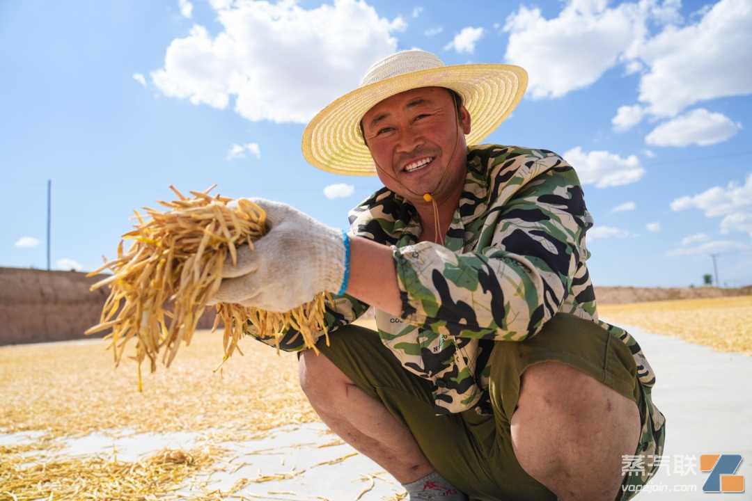 电子烟空弹都去哪儿了？悦刻援建牛棚、黄花菜晾晒场，打开乡村振兴“致富门”