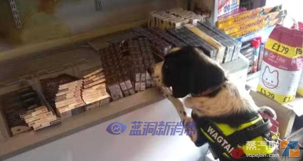 伦敦打击非法电子烟：向儿童销售产品的商店开展卧底行动