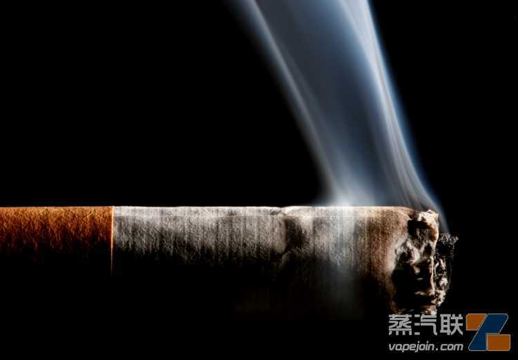 欧盟针对走私开展联合行动