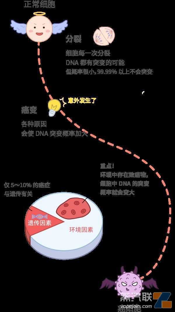 国际公认的 5 个强致癌物，很多人天天都在吃(公认的五个强致癌物)