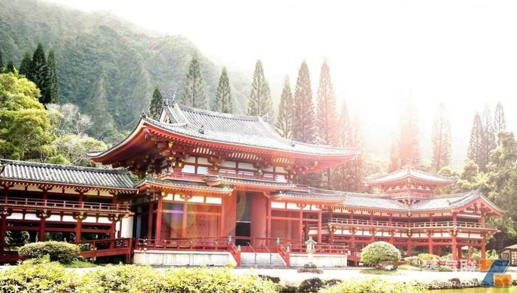 10月中国出口日本电子烟约1911万美元 环比增长约11%