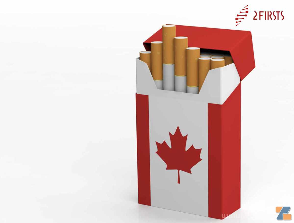 加拿大薄荷醇禁令并未增加当地非法销售