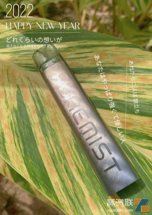 本雾源点one上手测评：内外兼修，水润出色