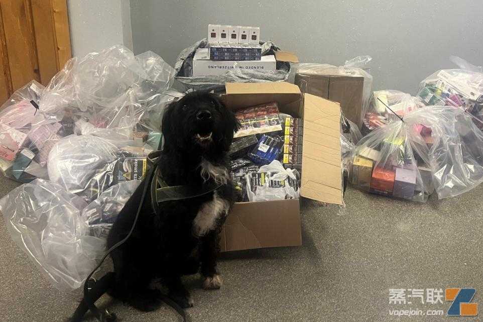 英国嗅探犬协助警方查获非法烟草商品