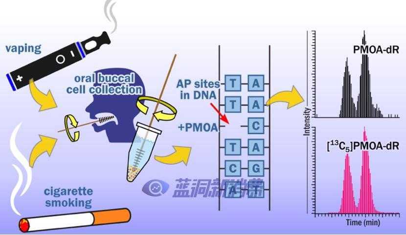 1646018545785.jpg 美国化学学会:电子烟主要成分丙二醇可抑制口腔细菌及炎症