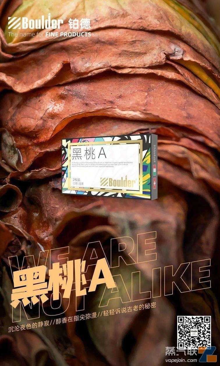铂德新品首发！插画印象版KATE Graffiti，潮流视觉，全新升级！
