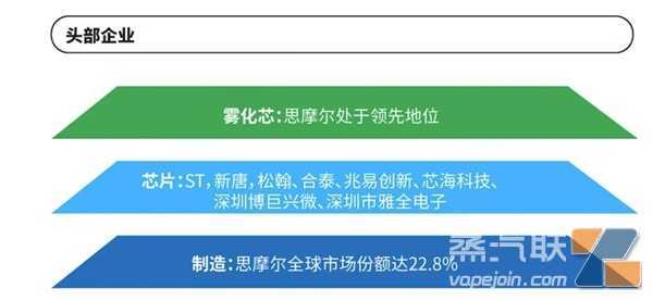 2022年电子雾化产业白皮书发布，思摩尔技术研发制造三大领先地位获肯定