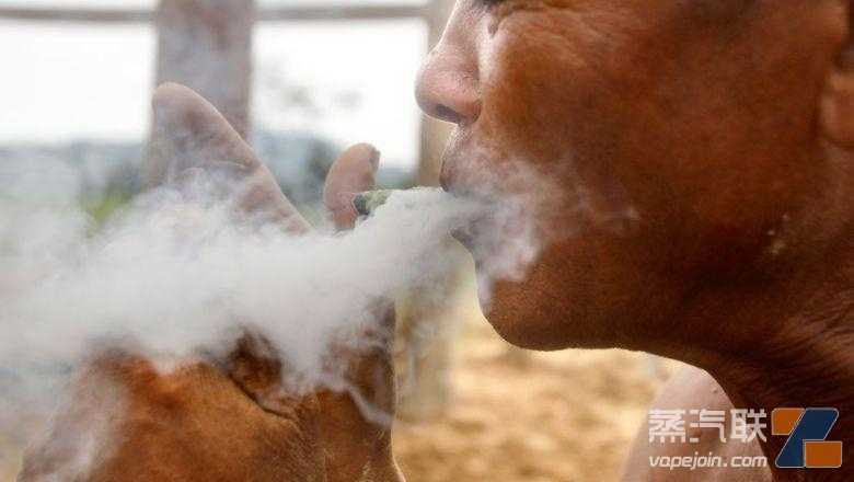 巴西一州电子烟立法遭媒体批评