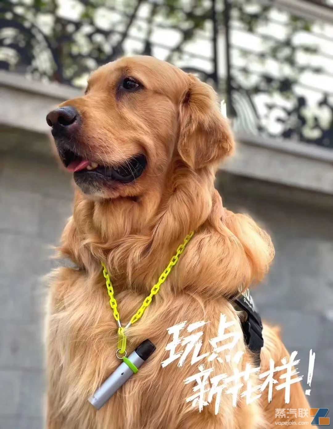 为什么人们会对小烟会产生一些误解？认为小烟不好用！