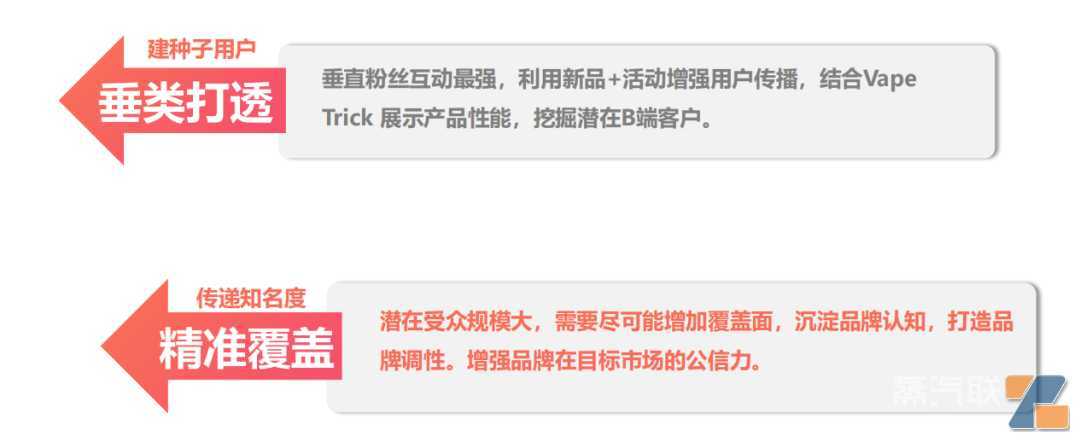 一份竞逐千亿美元市场的解决方案：电子烟出海破圈之道