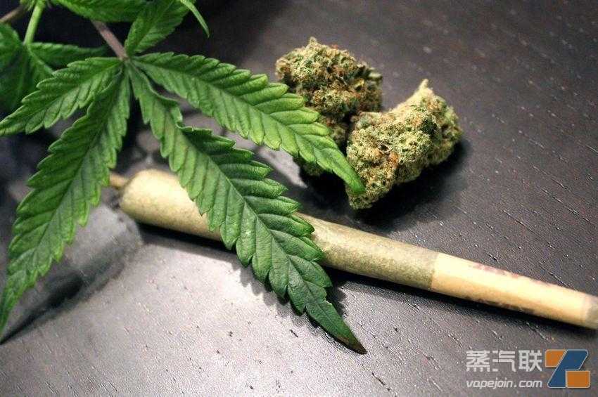 国际大麻品牌Cookies宣布正式进入纽约市场
