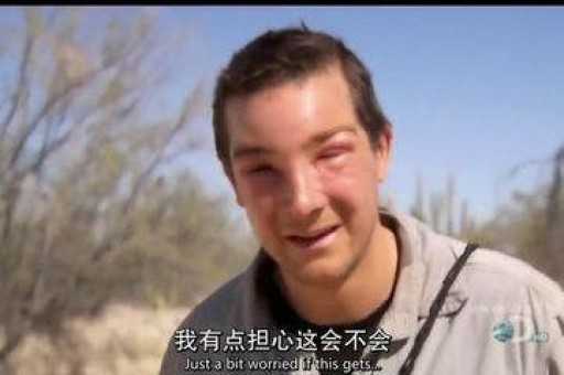 官方的yooz二代价格是多少?yooz柚子品牌介绍
