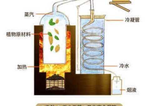 悦刻一手货源批发网站渠道,悦刻柚子厂家一件代发