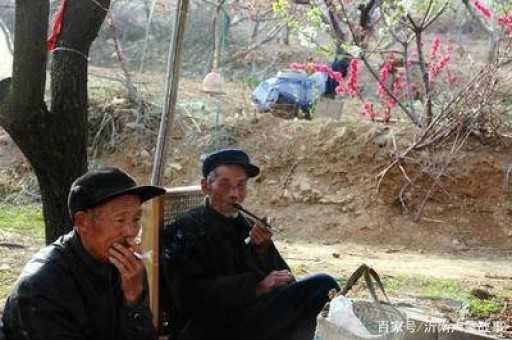 魔笛s国标口味;“原香晓烟”“闲云晓烟”“风韵晓烟”口味测评