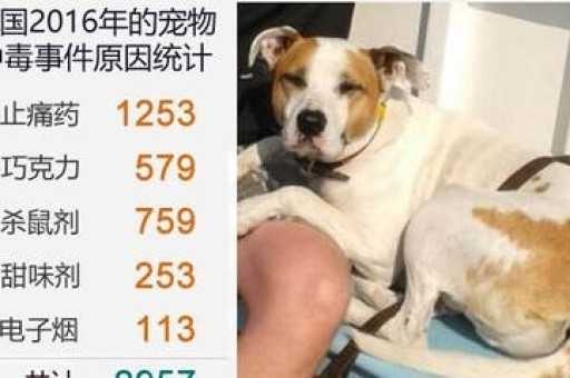 jve非我价格表介绍